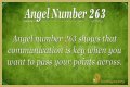 263 Angel Number Meaning - Pulptastic