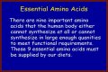 Are You Eating the Right Proteins? Know Your Essential Amino Acids