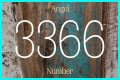 
Repeating Angel Numbers - 3's and 6's  (3366, 3636, 6633, 6363 etc)
